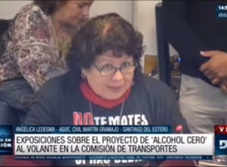 Asociaciones civiles y familiares de víctimas apoyaron la iniciativa de alcohol cero al volante en Diputados