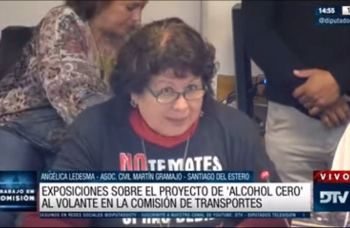 Asociaciones civiles y familiares de víctimas apoyaron la iniciativa de alcohol cero al volante en Diputados