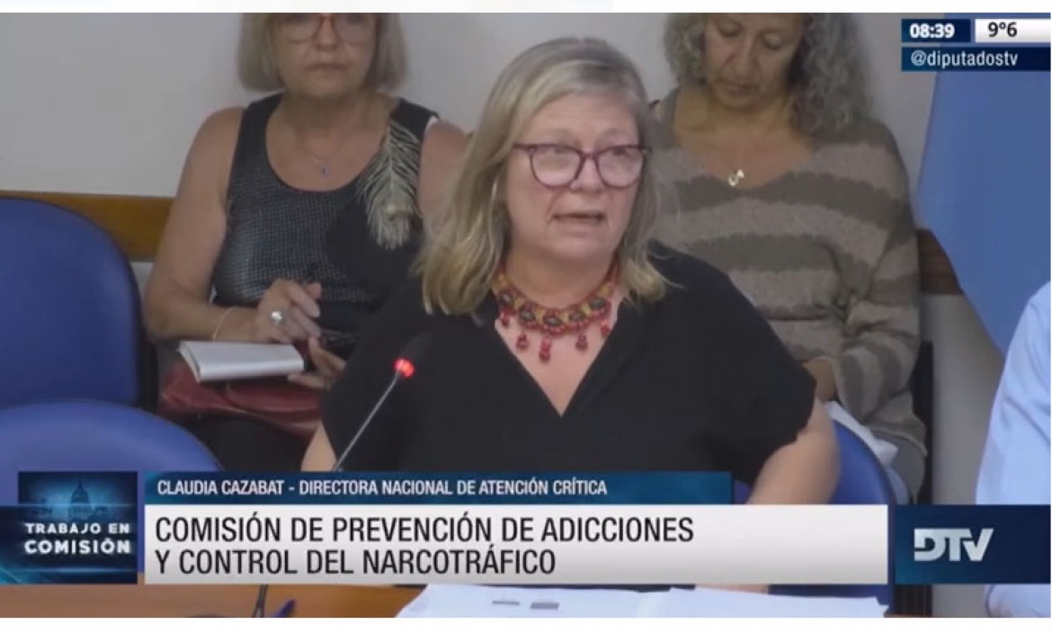 Diputados: organizaciones y expertos discutieron en comisión la situación actual de la ley sobre salud mental